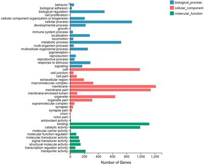 Transcriptome Profile Changes Associated With Heat Shock Reaction in the Entomopathogenic Nematode, Steinernema carpocapsae